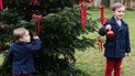 Принци Шарль та Франсуа