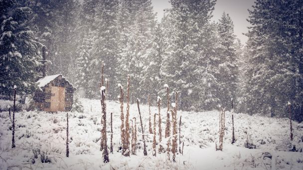 Метель 31 января означает, что весна придет поздно / © Pexels