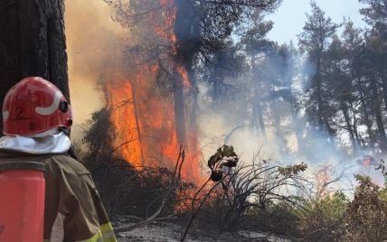 В Україні оголосили найвищий рівень пожежної небезпеки: які області під загрозою