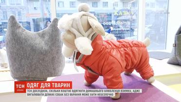 Одяг для тварин: скільки коштує вдягнути домашнього улюбленця взимку