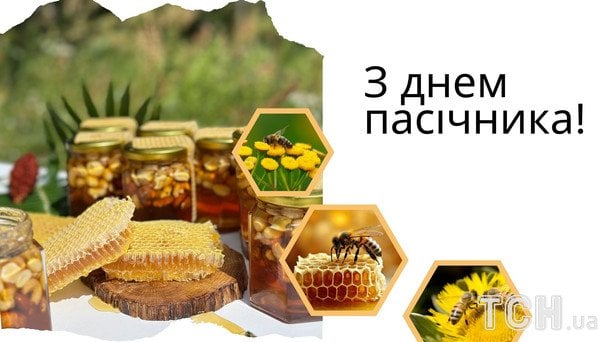 Открытки с Днем пчеловода / © ТСН