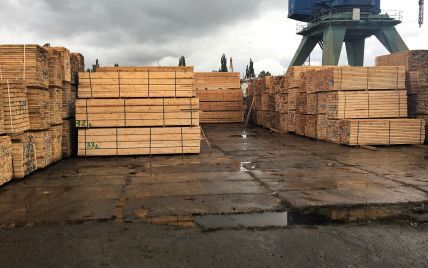 В Евросоюзе объяснили, почему Украина должна отменить запрет на экспорт древесины