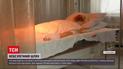 Новини України: 19-річний хлопець вижив після ураження струмом у 27 тисяч вольт