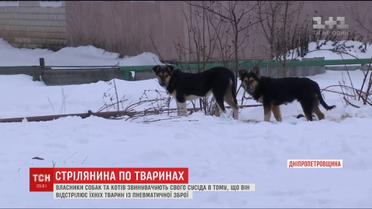 Селяни скаржаться на сусіда, який відстрелює їхніх тварин з пневматичної зброї