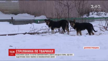 Селяне жалуются на соседа, который отстреливает их животных из пневматического оружия