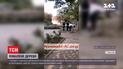 У середмісті Миколаєва стара тополя завалилася серед білого дня на припарковане авто