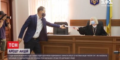 Суддя Шевченківського суду столиці відмовилася розблокувати акції "Мотор Січі"