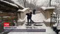 США накрила перша цього року серйозна завірюха
