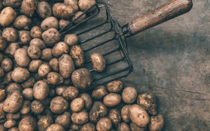 В Украине подорожал картофель: какая стоимость овоща