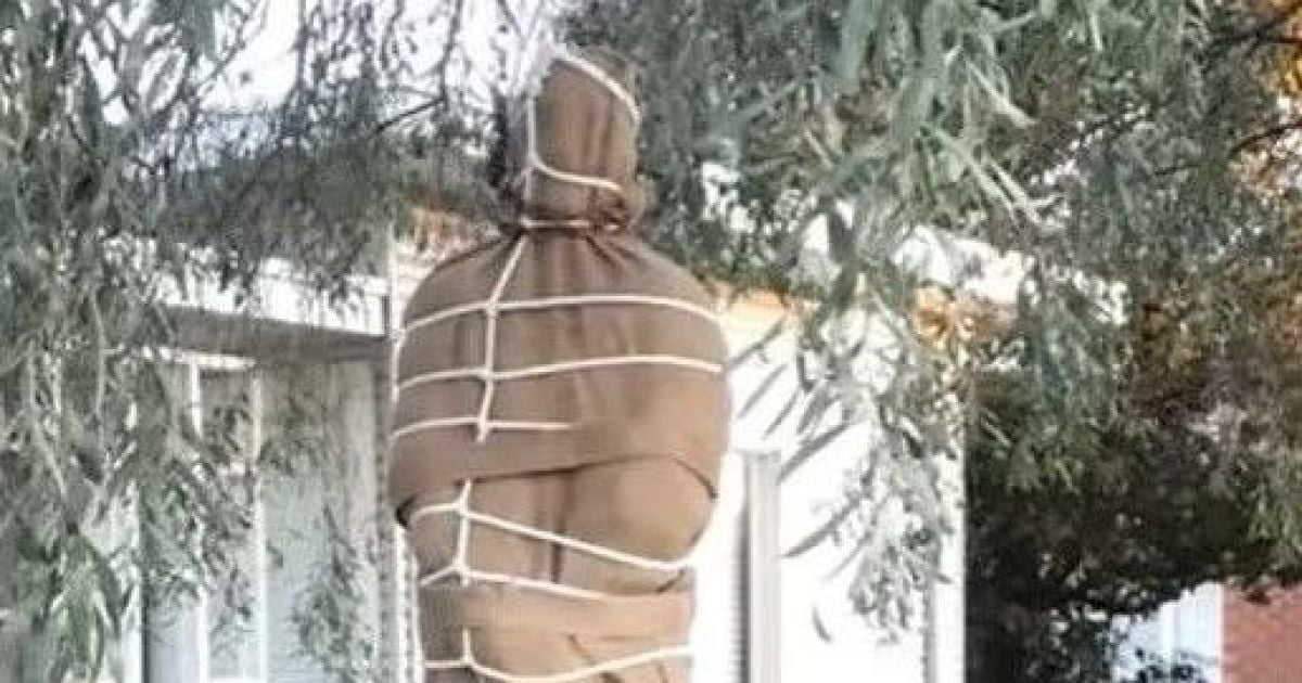 Хотела удивить сына: в Австралии женщину заставили избавиться от фейкового трупа во дворе
