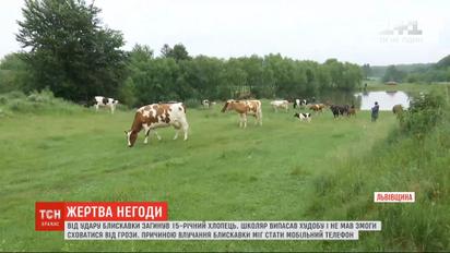 Во Львовской области молния унесла жизнь 15-летнего школьника