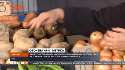 Сезон консервации в разгаре: какие цены на овощи ожидают украинских покупателей