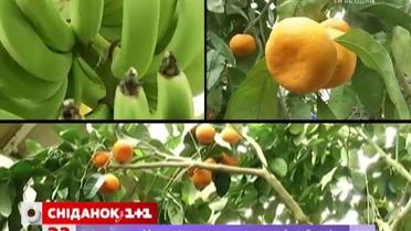 Мой путеводитель. Киевщина