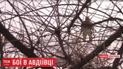 Остання інформація штабу: у понеділок в АТО загинули троє військових