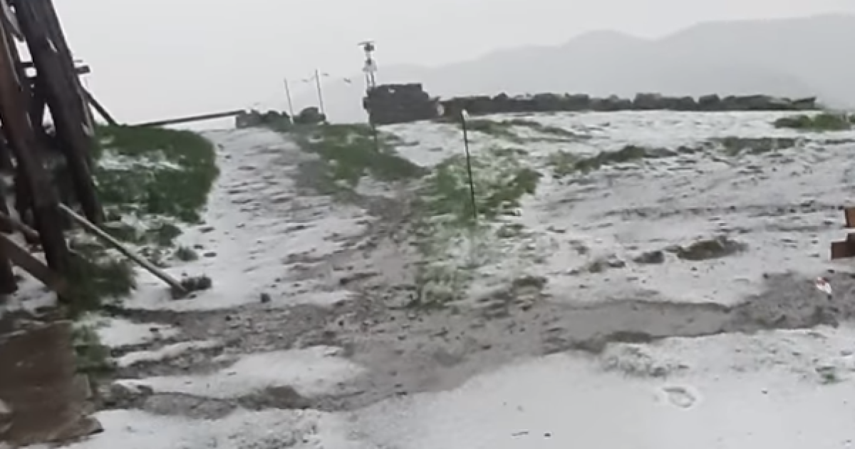 Сніг у Карпатах 10 липня. Скріншот відео.