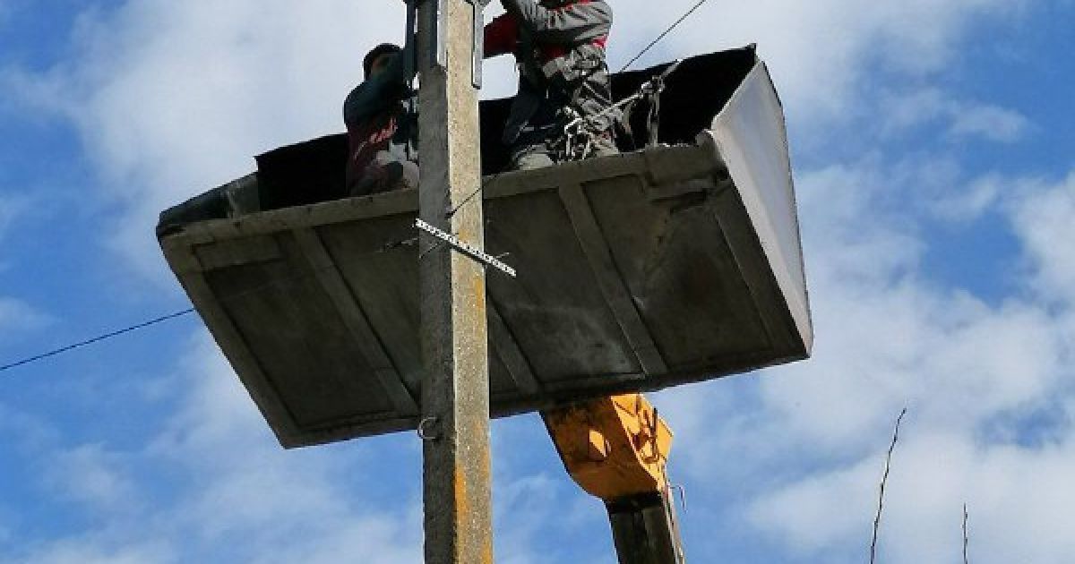 У Київській області місцеві жителі допомогли лелеці полагодити гніздо