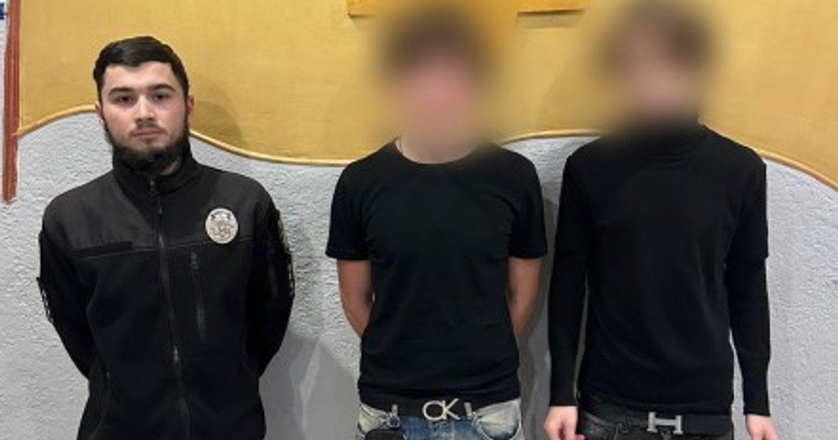 Підлітки, які зняли на відео процес імітації зґвалтування кота