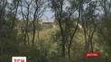 Боевики разгромили почти целую улицу в поселке Водяное, есть раненые