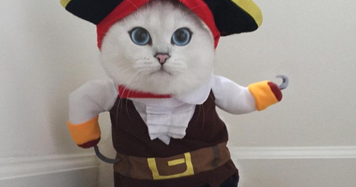 Коби покорил соцсети / © dailymail.co.uk