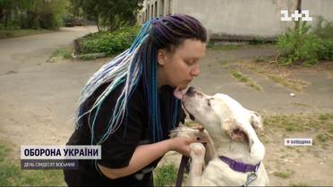 У зруйнованих містах залишаються сотні покинутих тварин