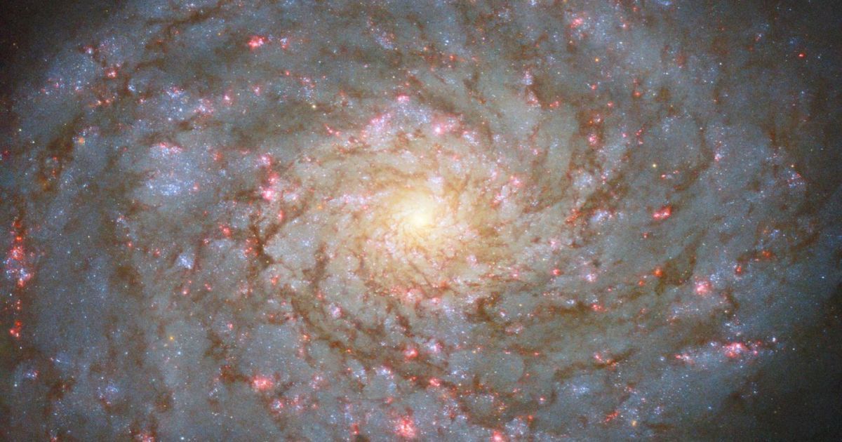 Спіральна галактика NGC 4689 / Фото: ESA/Hubble & NASA, D. Thilker, J. Lee and the PHANGS-HST Team