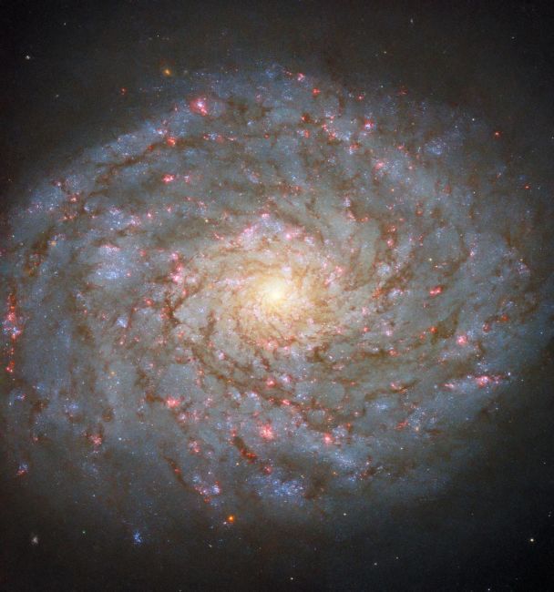 Спіральна галактика NGC 4689 / Фото: ESA/Hubble & NASA, D. Thilker, J. Lee and the PHANGS-HST Team