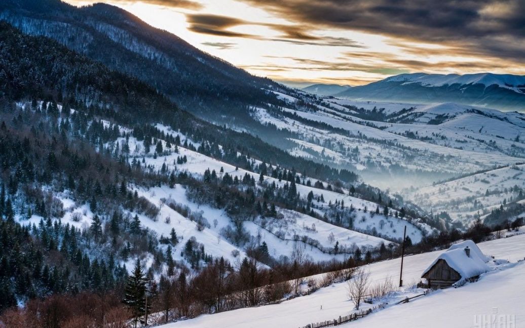 Зимовий ранок у Карпатах (Міжгірський район, Закарпатська область). / © УНІАН