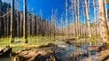 Астрологічний прогноз на 16 травня