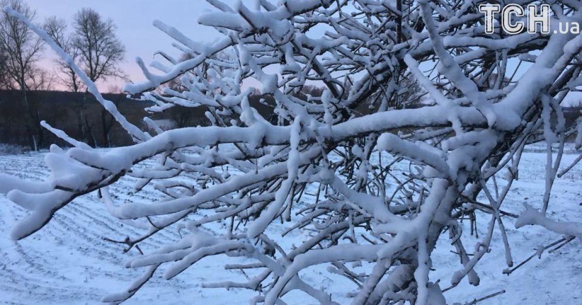 Початок тижня буде зі снігом, дощем та "колючим" вітром. Прогноз погоди на 11-12 грудня