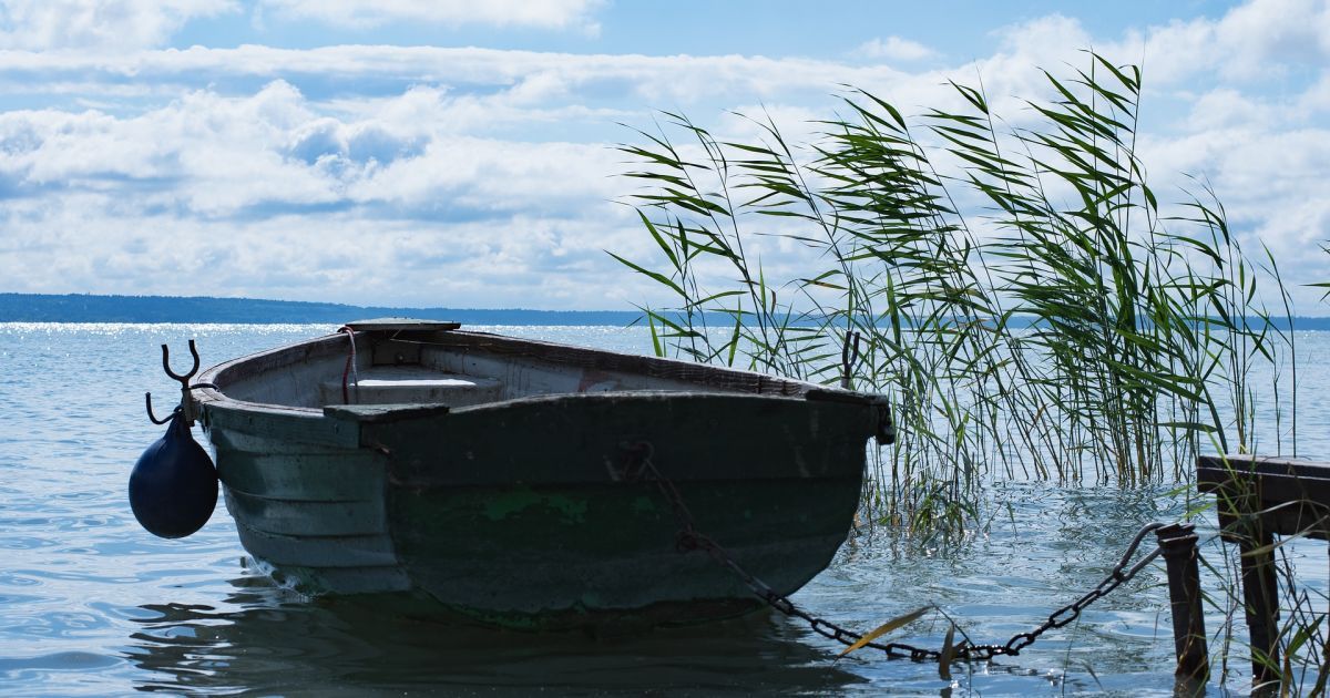 Ученые назвали срок выживания коронавируса в речной воде