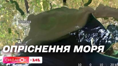 Чи може стати Чорне море прісним, і які наслідки це може мати