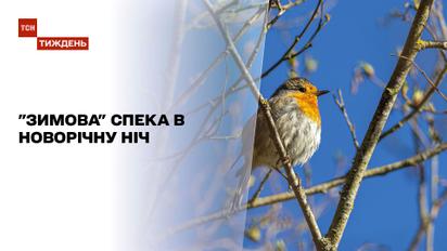 Метеозависимость: Украина ждет теплый год за всю историю