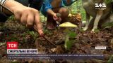 Новости Украины: пять детей из одной семьи отравились грибами, двое из них умерли в больнице