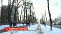 У Києві схвалили мораторій на обрізування дерев