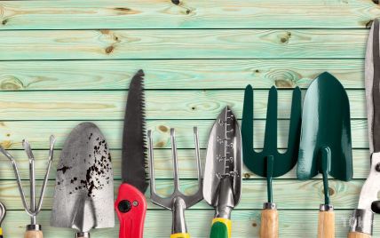 Заберіть граблі з дороги та наточіть ножі: як уникнути найпоширеніших садових травм
