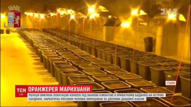 Мужчина умудрился обустроить плантацию конопли под ванной в собственном доме