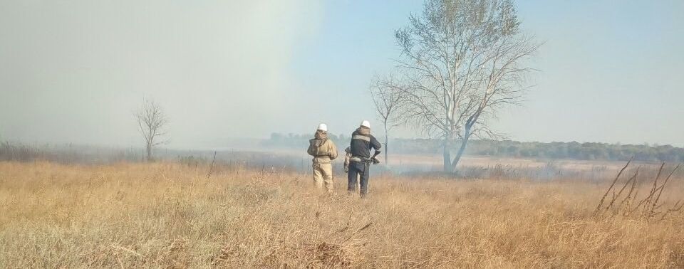 Украина в огне. Во многих регионах страны горят торфяники, леса и свалки