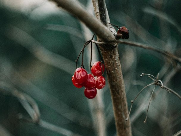 Народные приметы 3 февраля / © pexels.com