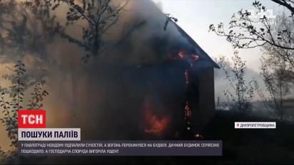 В Днепропетровской области неизвестные подожгли сухостой и сожгли дачу