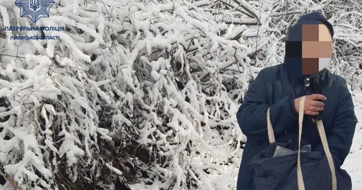 Неподалік центру Львова жінка спиляла молоду ялинку: відео