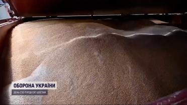 У порту Лівану виявили крадене українське зерно