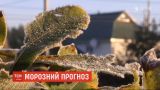 Время доставать пуховики: в Украине зашло арктическое похолодание