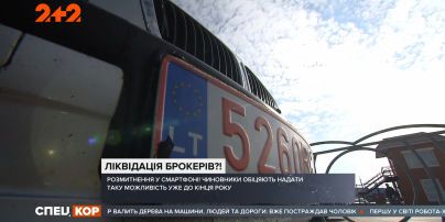 Скоро каждый украинец сможет растаможить авто, не выходя из дома