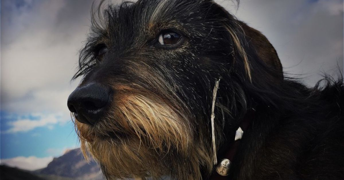 iPhone Photography Awards 2016