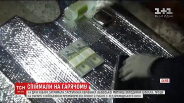 На хабарі затримали заступника керівника Львівської митниці