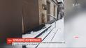 На пороге мехового магазина неизвестные оставили окровавленную овцу