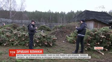 Житель Шостки срубил 800 елок и незаконно завез на свой двор для продажи
