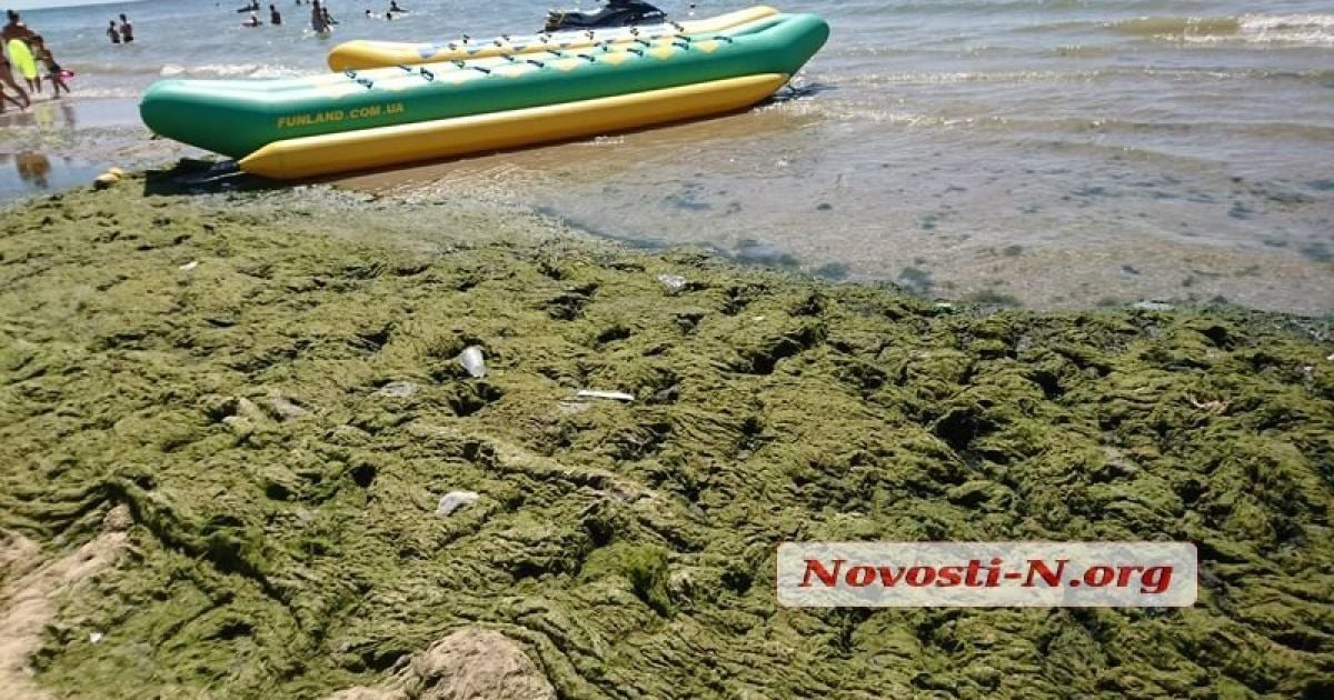 Коблево_пляж_1 / © novosti-n.org