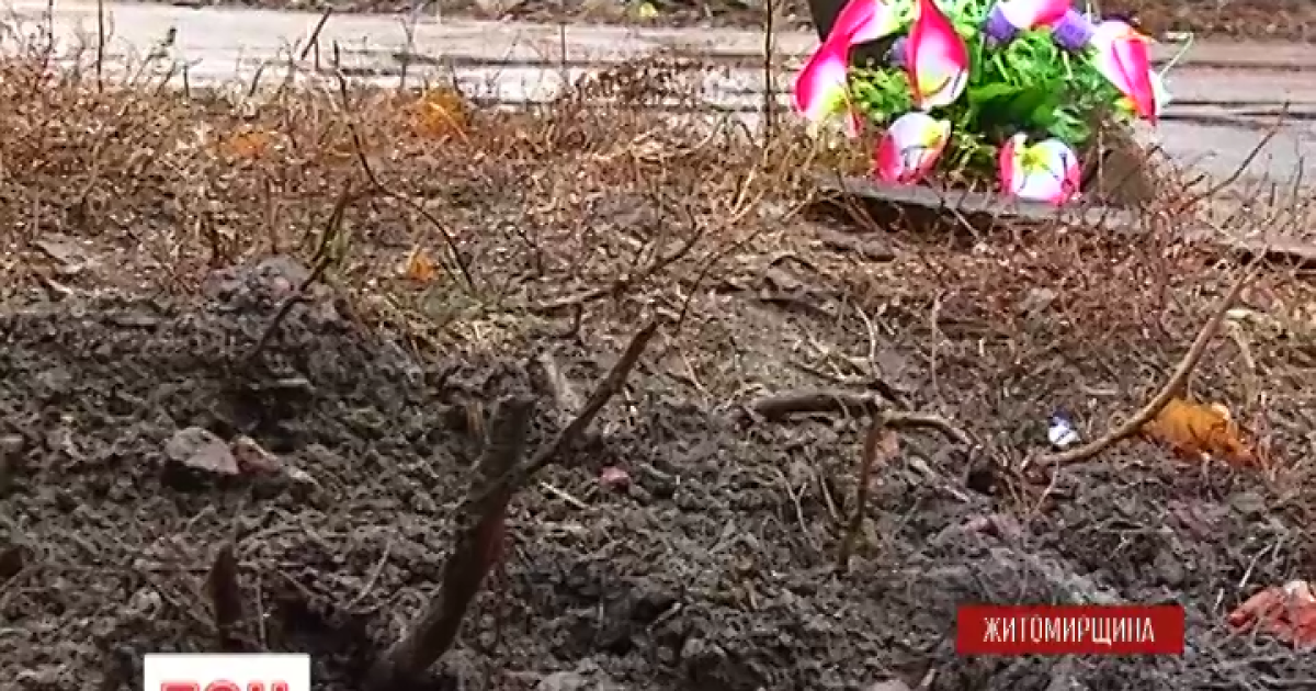 У Житомирській області загинув чоловік