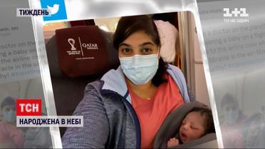 Пологи у літаку, кіт-Хатіко та цунамі у Тихому океані - новини з онлайн трансляції
